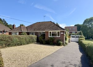 Photo 21- click for photo gallery